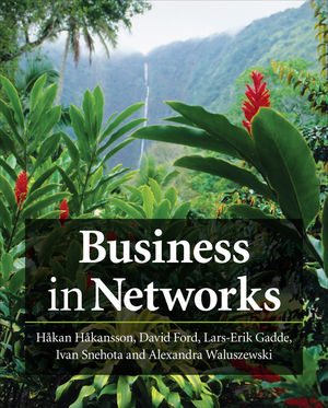 Business in Networks (0470749636) cover image