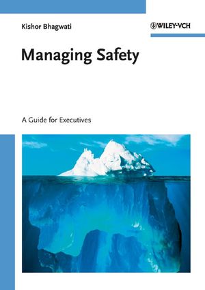 Managing Safety: A Guide for Executives (3527315837) cover image