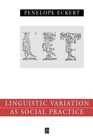 Language Variation as Social Practice: The Linguistic Construction of Identity in Belten High (0631186042) cover image