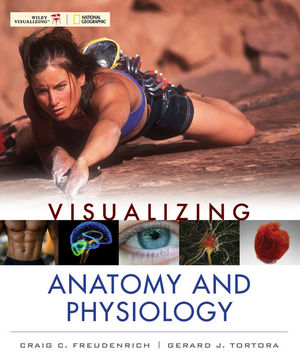 Visualizing Anatomy and Physiology (0470491248) cover image