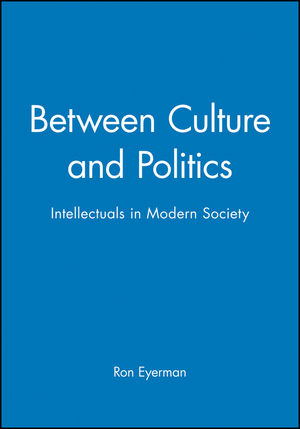 Between Culture and Politics: Intellectuals in Modern Society (074560904X) cover image