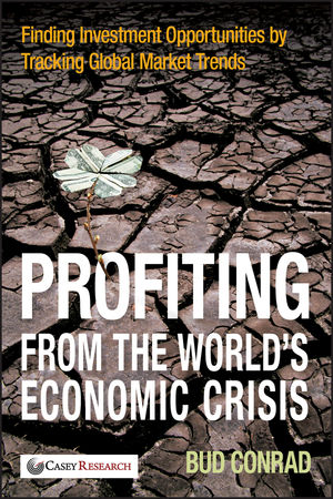 Profiting from the World's Economic Crisis: Finding Investment Opportunities by Tracking Global Market Trends (0470460350) cover image