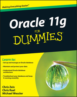 Oracle 11g For Dummies (0470277653) cover image