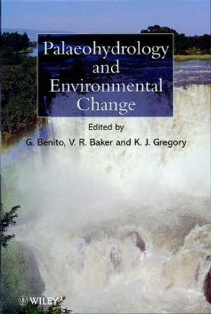 Palaeohydrology and Environmental Change (0471984655) cover image