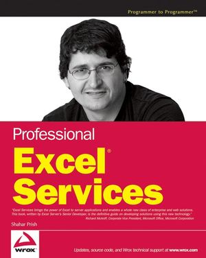 Professional Excel Services (0470104864) cover image