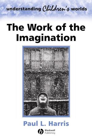 The Work of the Imagination (0631218866) cover image