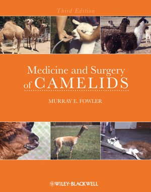 Medicine and Surgery of Camelids, 3rd Edition (081380616X) cover image