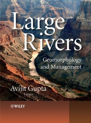 Large Rivers: Geomorphology and Management (0470849878) cover image