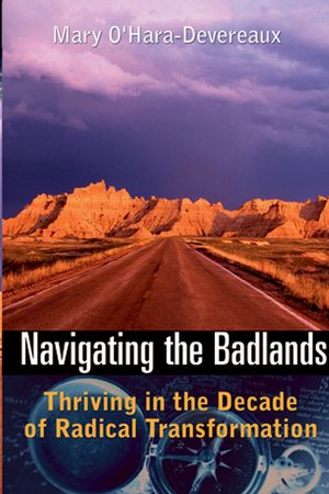 Navigating the Badlands: Thriving in the Decade of Radical Transformation (0787971383) cover image