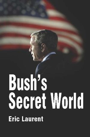 Bush's Secret World: Religion, Big Business and Hidden Networks (074563348X) cover image