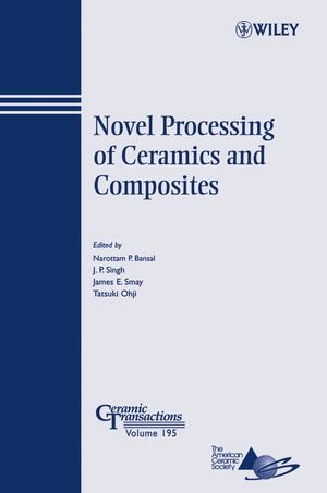 Novel Processing of Ceramics and Composites (0470083891) cover image