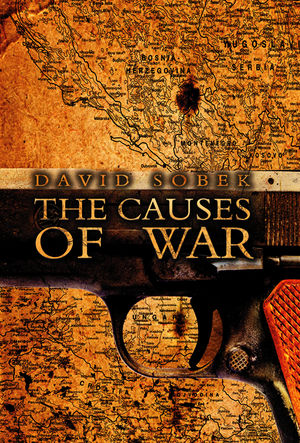 The Causes of War (0745641997) cover image