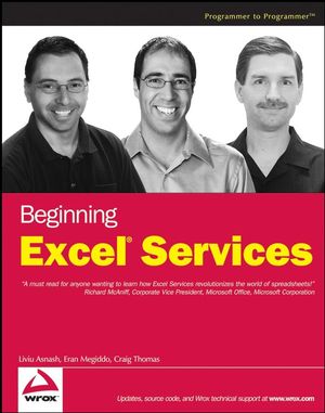 Beginning Excel Services (0470104899) cover image