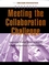 Meeting the Collaboration Challenge Workbook: Developing Strategic Alliances Between Nonprofit Organizations and Businesses (0787962317) cover image