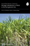 Annual Plant Reviews, Volume 42, Nitrogen Metabolism in Plants in the Post-genomic Era (1405162643) cover image