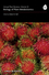 Annual Plant Reviews, Volume 43, Biology of Plant Metabolomics (1405199547) cover image