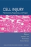 Cell Injury: Mechanisms, Responses, and Therapeutics, Volume 1066 (1573316172) cover image