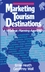 Marketing Tourism Destinations: A Strategic Planning Approach (0471540676) cover image