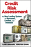 Credit Risk Assessment : The New Lending System for Borrowers, Lenders, and Investors  (0470461683) cover image