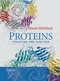 Proteins: Structure and Function (0471498947) cover image