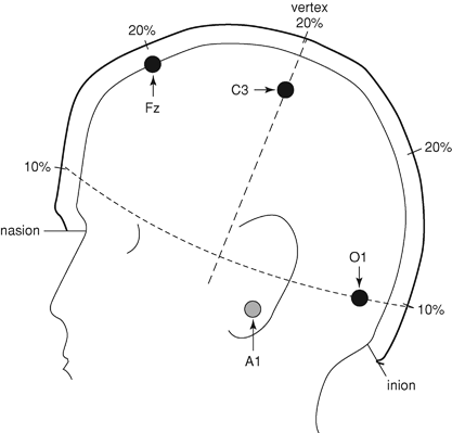 10-20 measurement system electrodes polysomnography