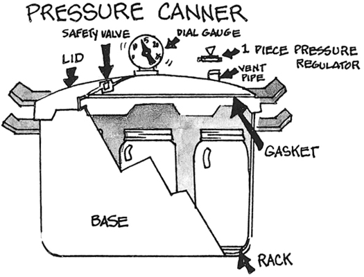 Use a pressure canner to safely process low-acid foods, including many vegetables.