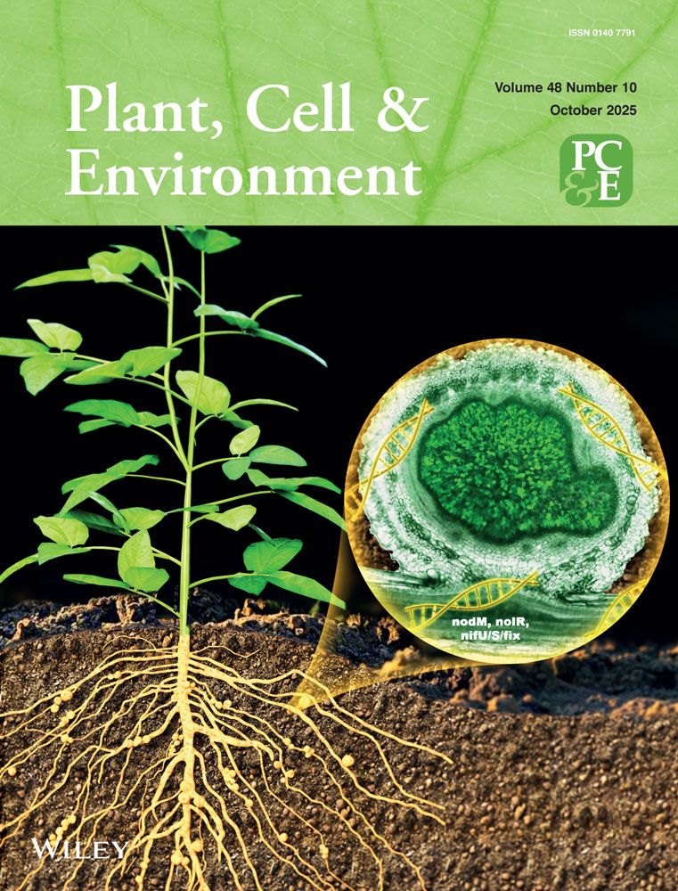 Biochemistry and Molecular Biology of Plants, 2nd Edition