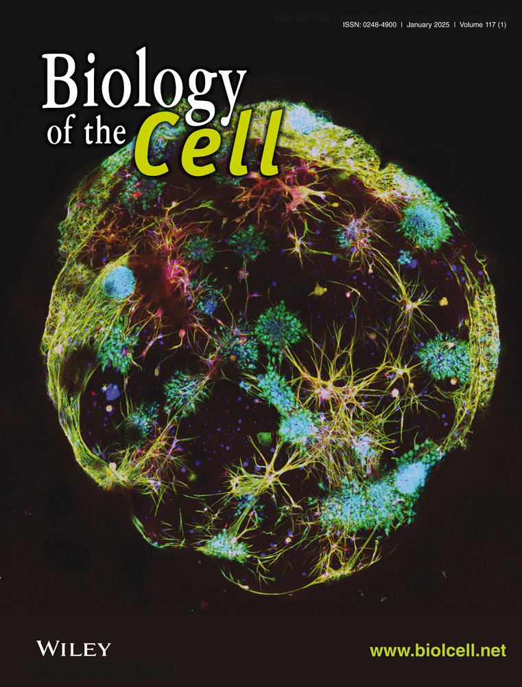 Molecular Evolution: A Phylogenetic Approach | Wiley