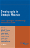 Developments in Strategic Materials, Volume 29, Issue 10 (0470345004) cover image