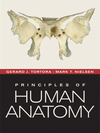 Principles of Human Anatomy, 12th Edition
