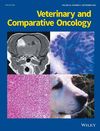 Veterinary and Comparative Oncology