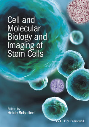 Cell And Molecular Biology And Imaging Of Stem Cells - 