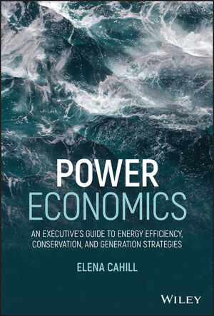 Power Economics: An Executive's Guide to Energy Efficiency, Conservation, and Generation Strategies