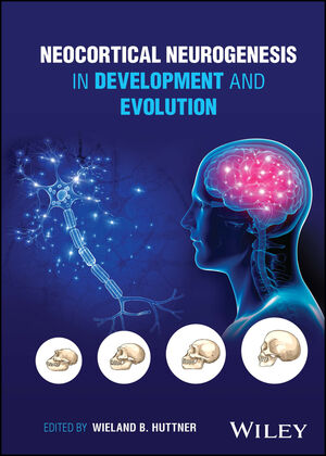 Neocortical Neurogenesis in Development and Evolution