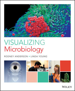 Visualizing Microbiology, 1st Edition