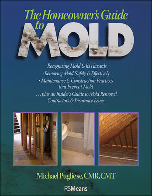 Do It Yourself Mold Remediation 