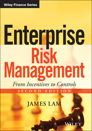enterprise risk manager job description