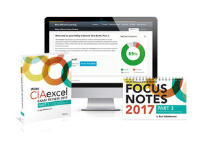 Wiley CIAexcel Exam Review + Test Bank + Focus Notes 2017: Part 3, Internal Audit Knowledge Elements Set