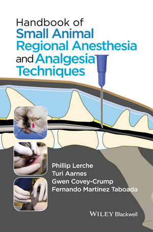 Modernizing Sedation: Evolving Anesthesia Techniques