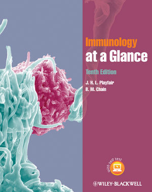 basic immunology abbas companion