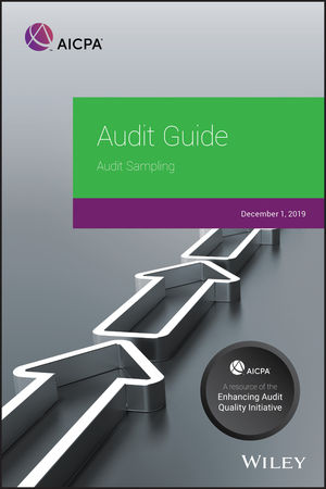audit cpa study guide pdf audit cpa study guide pdf