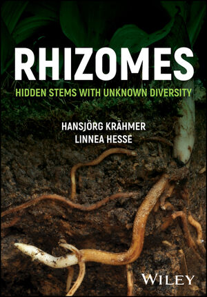 Rhizomes: Hidden Stems with Unknown Diversity