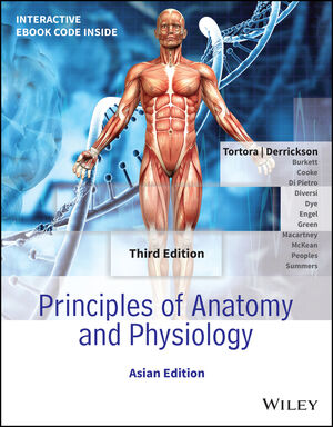 Principles of Anatomy and Physiology, 3rd Asia-Pacific Edition - Asian Edition