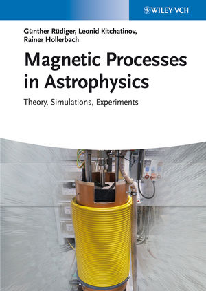 Magnetic Processes in Astrophysics: Theory, Simulations