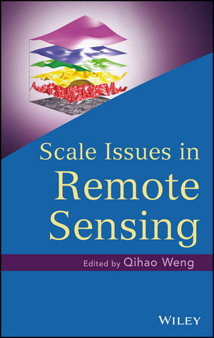 Scale Issues in Remote Sensing