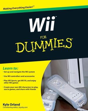 Video games shop for dummies