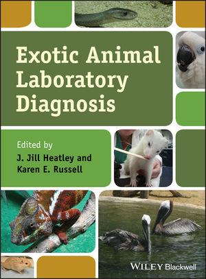 ophthalmology of exotic pets