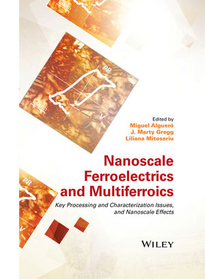 Nanoscale Ferroelectrics and Multiferroics: Key Processing and Characterization Issues, and Nanoscale Effects, 2 Volumes