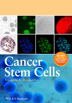 Cancer Stem Cells Cell Amp Molecular Biology Life