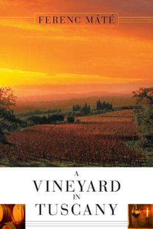 A Vineyard in Tuscany: A Wine Lover's Dream